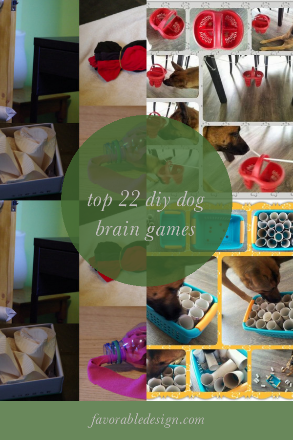 Top 22 Diy Dog Brain Games Home, Family, Style and Art Ideas